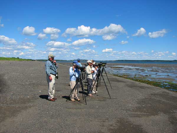 South Lubec Sand Flats