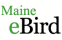 Maine eBird