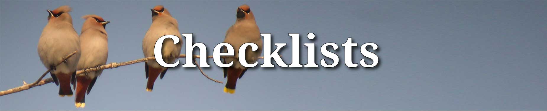 Bohemian Waxwings