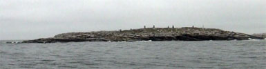 SealIsland