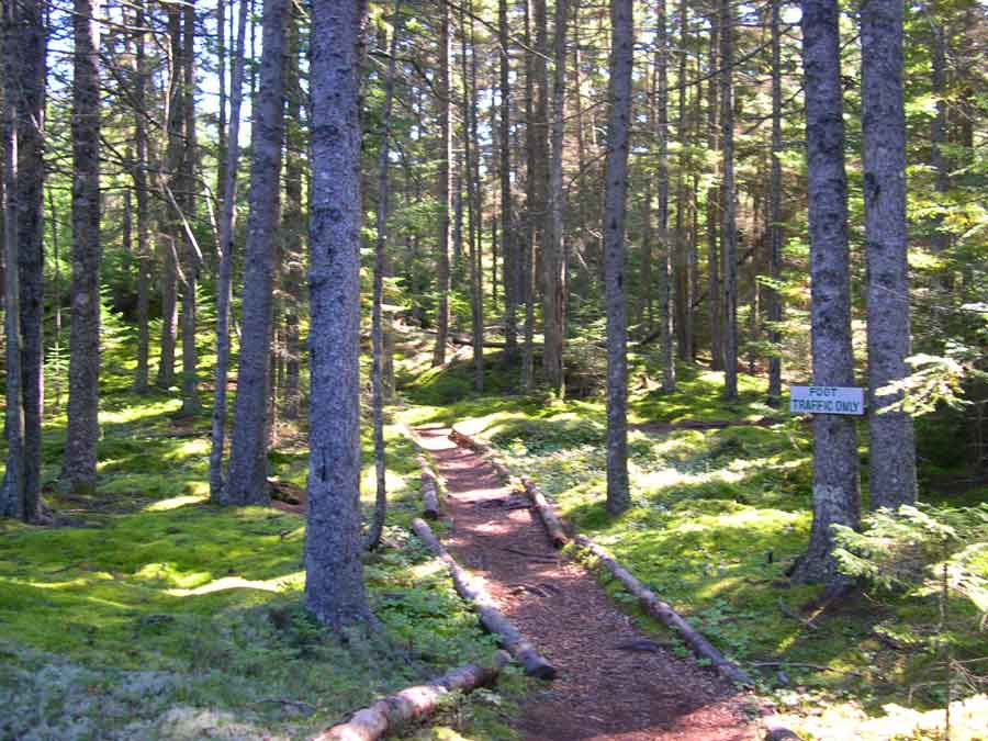 Barred Island Preserve