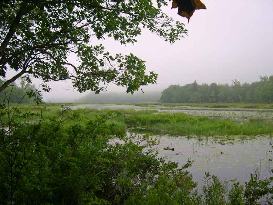 Greater Lovell Land Trust