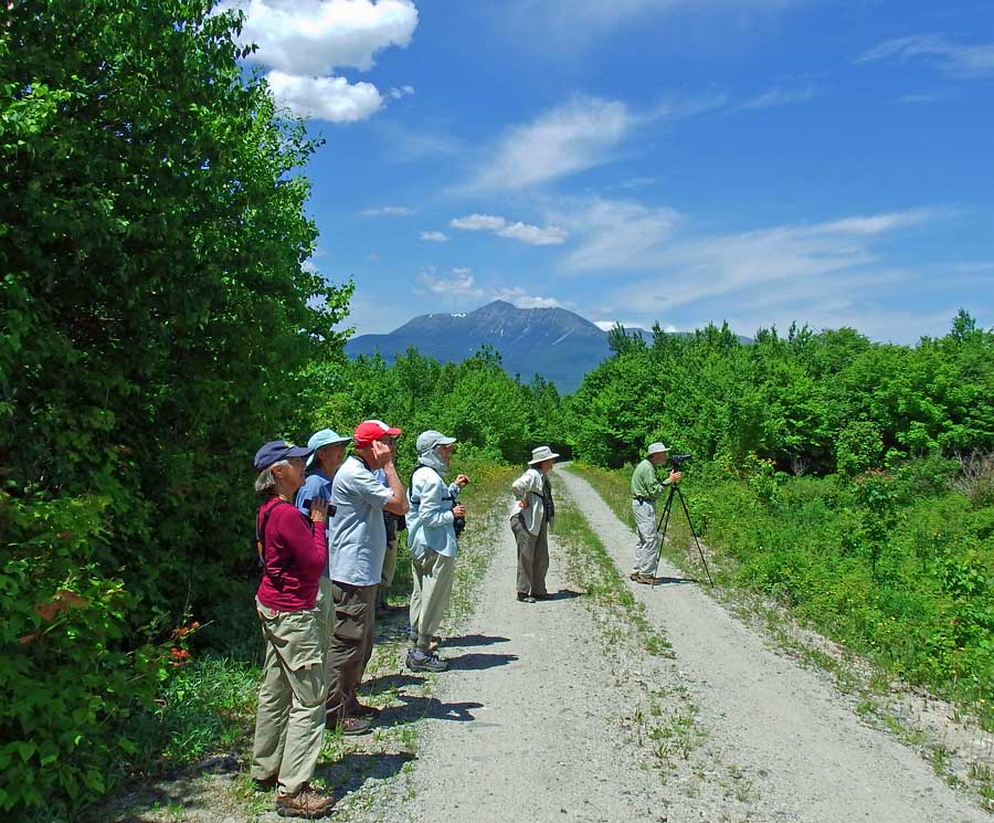 Katahdin Woods & Waters