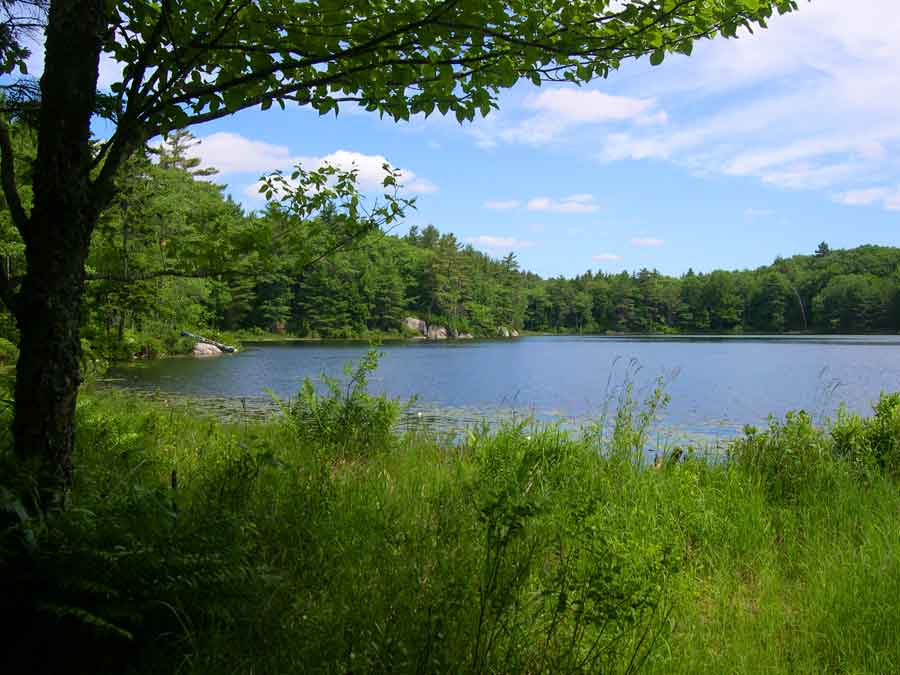 Sprague Pond