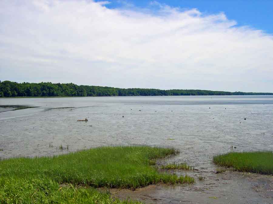 Wharton Point