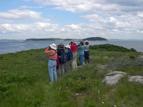 Downeast Group