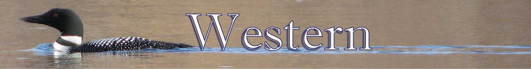 Western Header