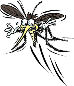 Mosquito